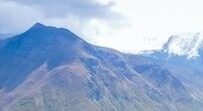 himachaltours.co.in